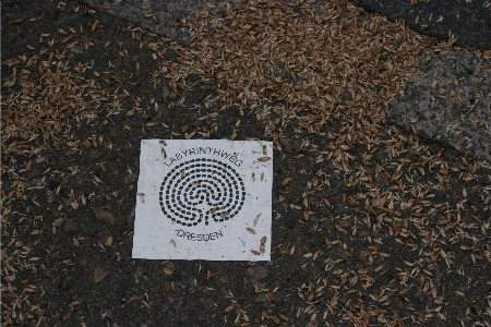 Labyrinthspur auf der Strasse