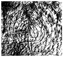 Urlabyrinth in einer Felsritzung bei Luzzanas