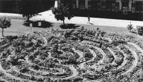 Der Labyrinthgarten im Zürcher Zeughaushof vor der Umgestaltung